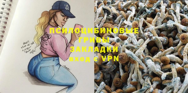 гашик Арсеньев