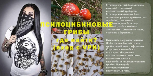 ALPHA-PVP Армянск