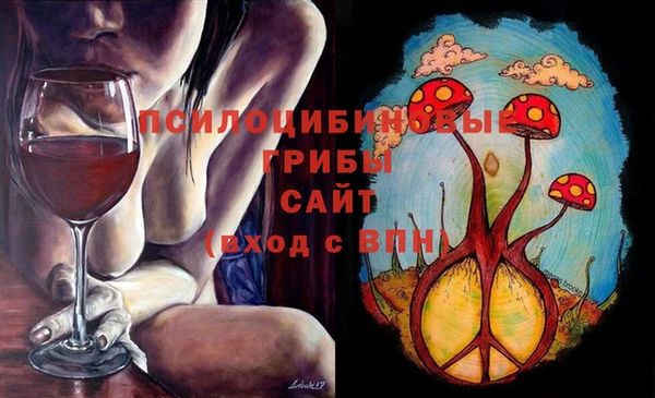 ГАЛЛЮЦИНОГЕННЫЕ ГРИБЫ Балахна