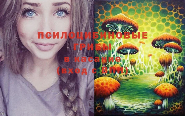 ГАЛЛЮЦИНОГЕННЫЕ ГРИБЫ Балахна